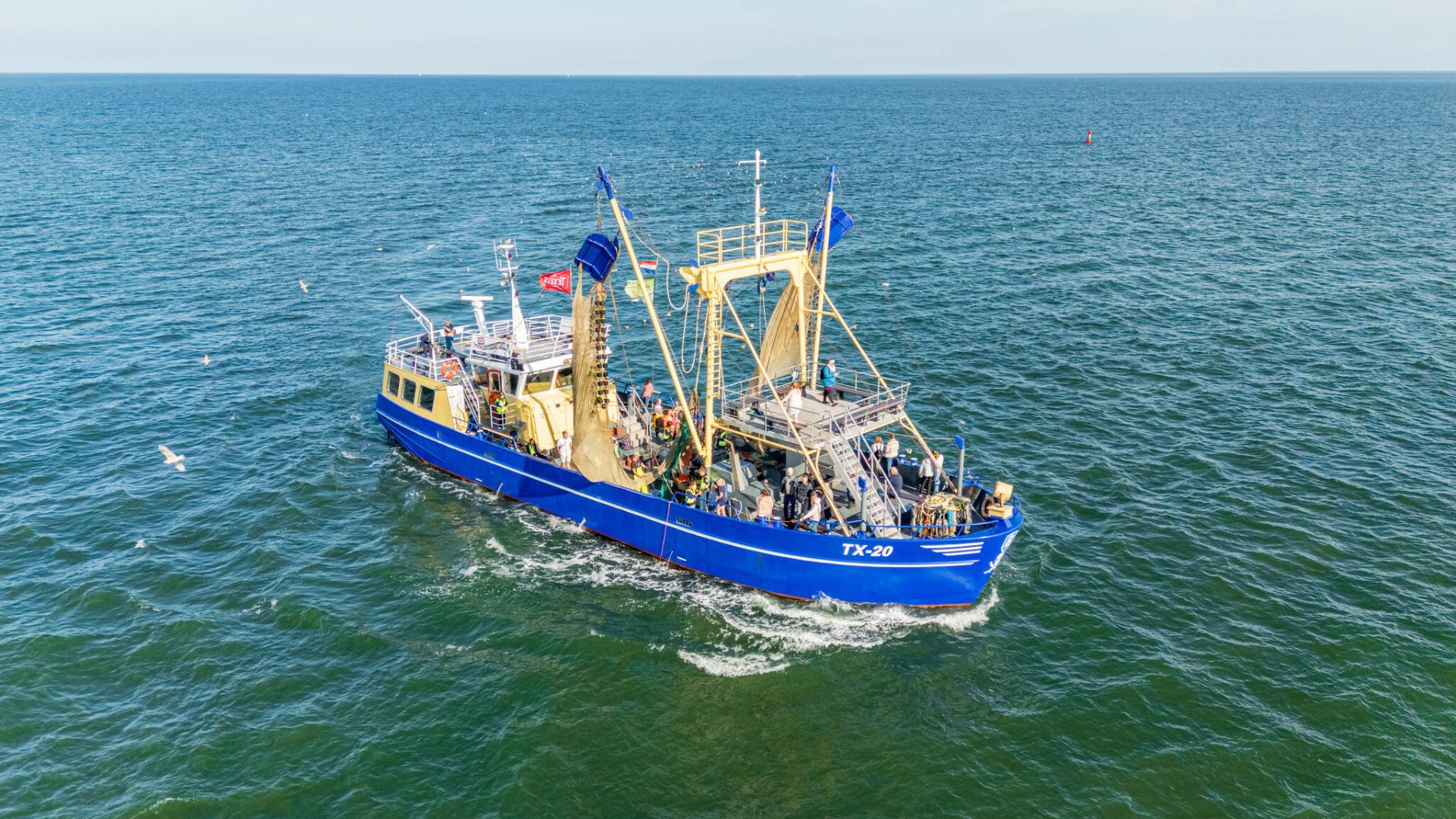 Garnalen vissen op Texel