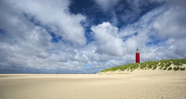 texel-2184346_1280