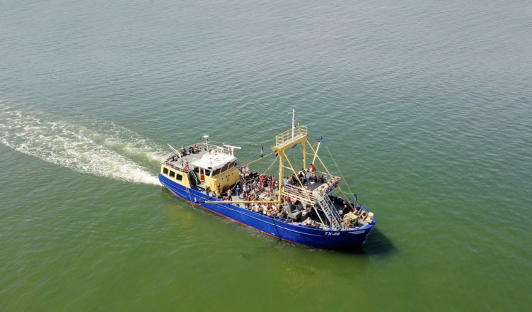 TX20 Garnalen vissen op Texel